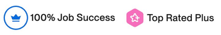 Upwork Top Rated Plus 100% Job Success